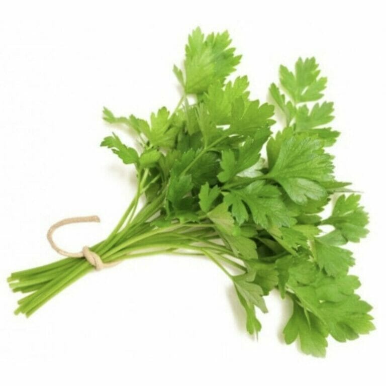 parsley