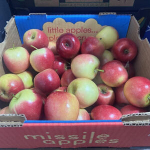 Apples - Missile (1kg)