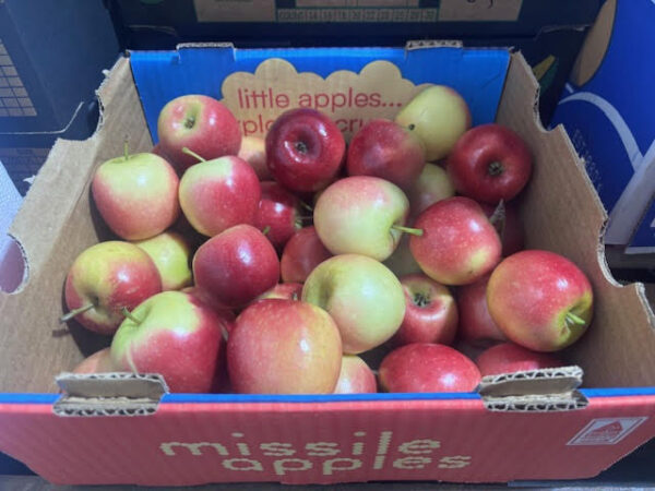 Apples - Missile (1/2 kg)
