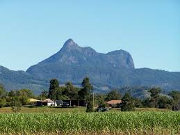 MT Warning