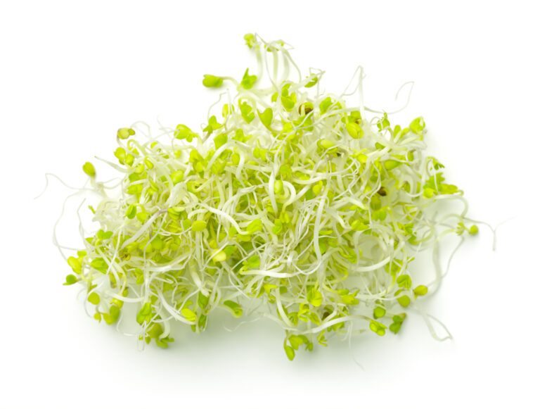 Alfalfa & Broccoli Sprouts