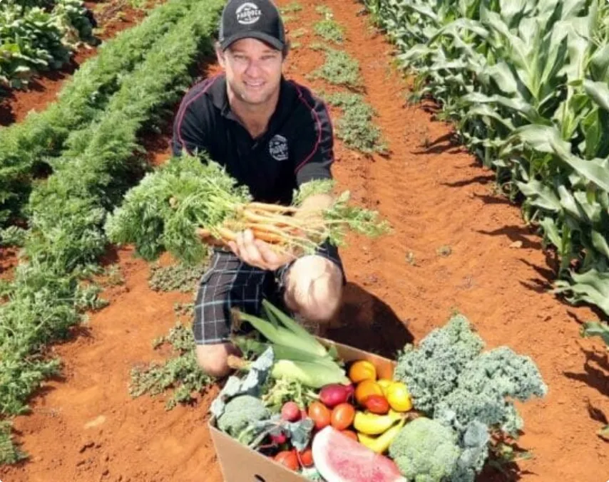 A man kneels in a vegetable field, holding freshly harvested carrots, with a box of assorted vegetables and fruit in front of him.