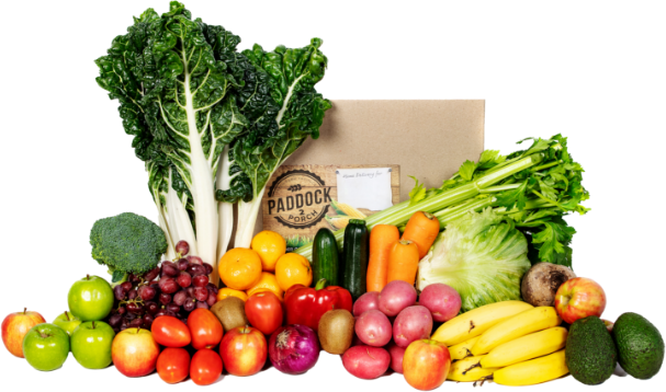 A variety of fresh fruits and vegetables, including bananas, apples, lettuce, carrots, zucchini, celery, grapes, tomatoes, potatoes, and leafy greens, arranged in front of a box.