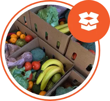 Cardboard boxes filled with assorted fresh fruits and vegetables, including bananas, tomatoes, lettuce, and broccoli.