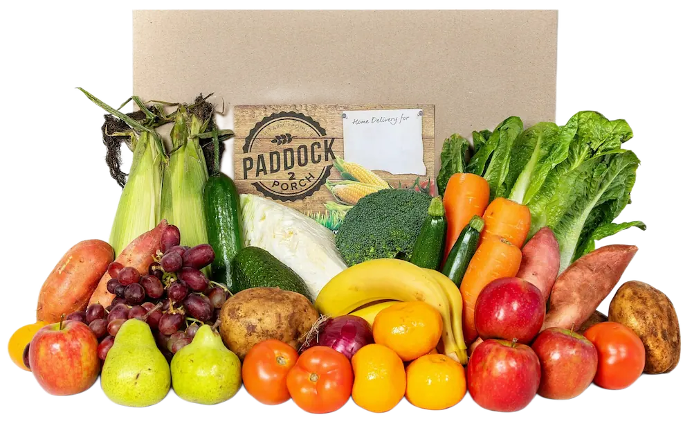 Assorted fresh fruits and vegetables, including apples, bananas, pears, grapes, tomatoes, lettuce, carrots, potatoes, corn, broccoli, and a cabbage, arranged in front of a box.