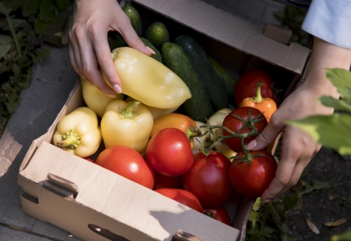 A person sorts fresh yellow bell peppers, red tomatoes, and cucumbers in a cardboard box outdoors.