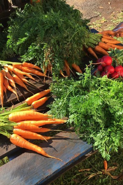fresh-produce-delivered-daily-paddock-2-porch-qro1ibdbkv1zwdwxacfrodq079pdkb997uuw8qncz4 fresh-produce-delivered-daily-paddock-2-porch-qro1ibdbkv1zwdwxacfrodq079pdkb997uuw8qncz4